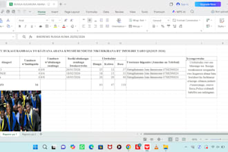 do profession data entry and excel data work