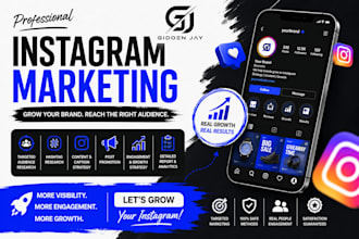 instagram marketing, promotion, management and organic growth