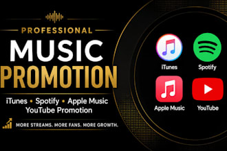 do itunes music spotify music promotion apple music youtube promotion