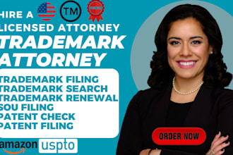file trademark and patent application, search, office action, renewal, sou