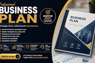 write a professional business plan