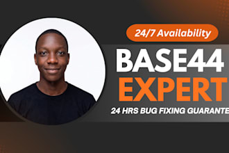 optimize base44 website base44 bug fixing migrate base44 to wordpress