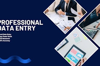 do professional data entry work