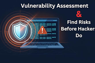 perform a website vulnerability assessment and security report