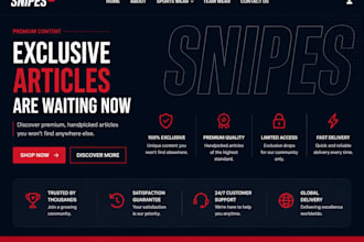 create a professional word press website for you