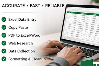data entry and excel specialist