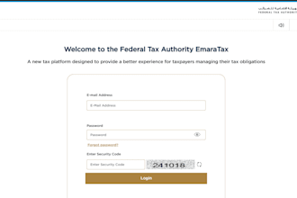 prepare your vat and corporate tax returns