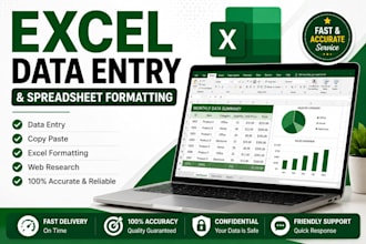 do excel data entry and spreadsheet formatting