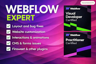 be your webflow expert for bug fixes, customization