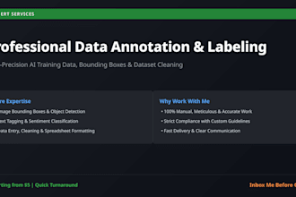 do professional data annotation, labeling, and data entry