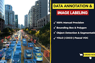 do image annotation, bounding box, and polygon segmentation