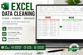 clean, format and organize your microsoft excel data