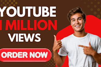 promote USA youtube video SEO promotion to gain 1 million views organic views