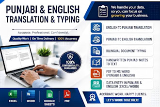 do professional and accurate punjabi and english typing