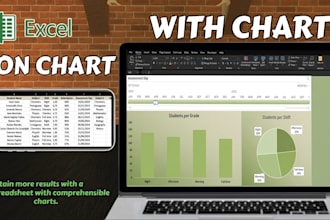 create clear and functional excel charts from your data