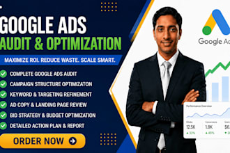 audit and optimize google ads PPC, pmax campaign for max ROI as a SEM expert