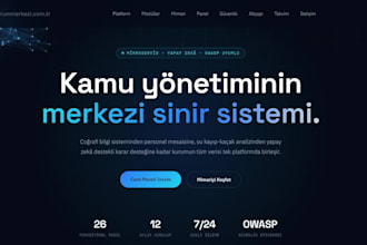 design and build a professional, high converting website