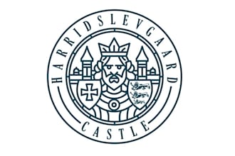 design unique medieval castle logo