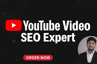 provide best youtube video SEO service