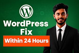 do professional wordpress bug fix and error fixing