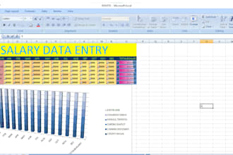do professiional data entry and copy paste work