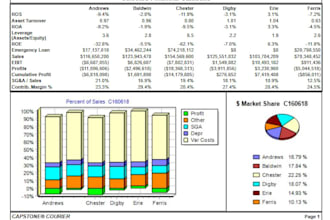 guide you with capsim simulation rounds and reports