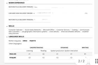 make europass CV for you