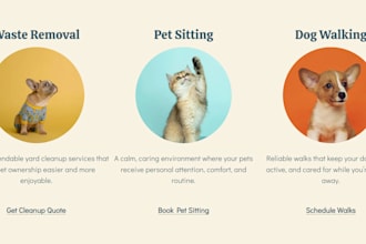 create an appealing website
