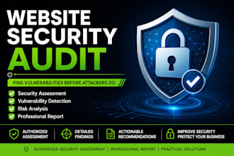 perform a website security audit and report