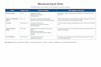 create neat handwritten study notes and educational charts