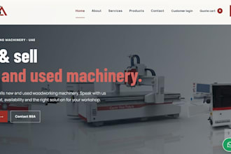 make a professional website at a low cost