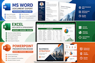 professionally do your ms office related project as an expert