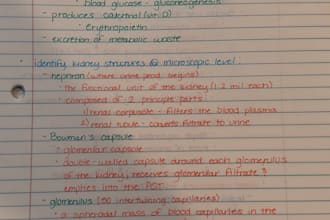 make detailed lecture notes, condensed study notes, etc