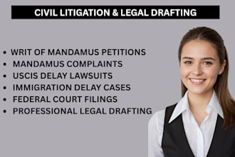 prepare appellate briefs, appeals, and legal arguments