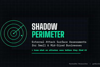 run an external attack surface scan and report for your business