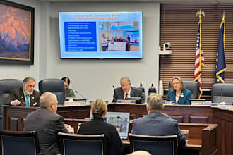 write formal public comment or legislative testimony