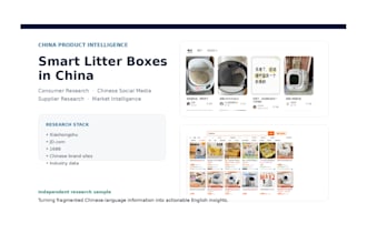 research the china market, competitors and consumer insights