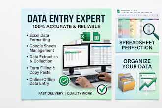 do data entry google sheets and excel data entry work
