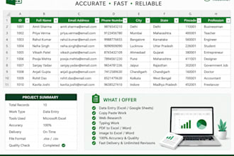 do accurate data entry and excel data entry