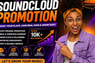 professional spotify music promotion