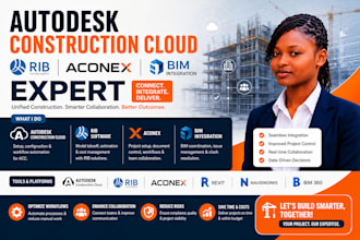 autodesk construction cloud rib software aconex bim integration expert