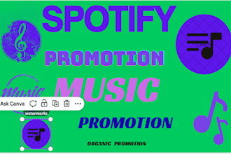 do professional  spotify  song promotion