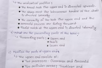 do neat handwritten notes and assignments