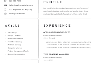 write and design a professional CV or resume