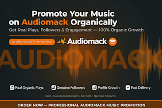 run professional audiomack music promotion audiomack organic music track promo