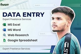 be your professional data entry specialist