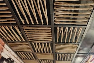 create architecture and interior designs and drawings