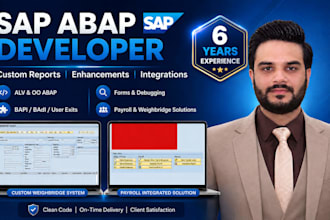 do sap abap custom solutions