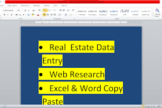 do professional real estate data entry  web research and copy paste