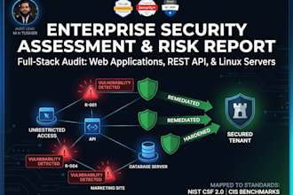 conduct a complete infrastructure and web security assessment